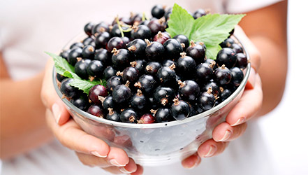 Plate of black currant