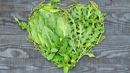 Sorrel and arugula leaves in the shape of a heart