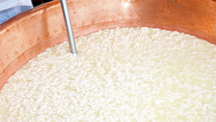 Cooking cottage cheese in production