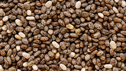 Chia seeds close up