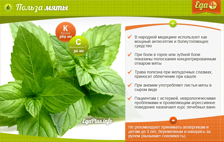 Useful properties of mint