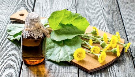 Tincture from coltsfoot