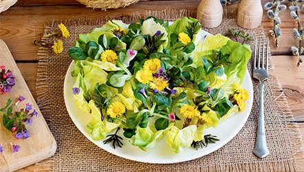 Spring salad from mother and stepmother