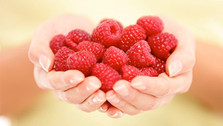 A handful of raspberries in female hands