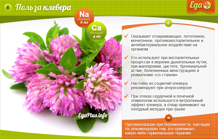 Useful properties of clover