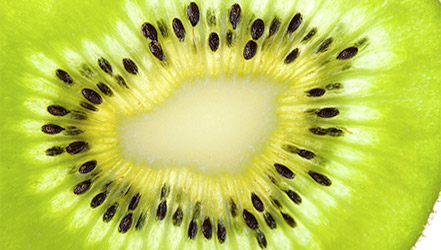 Kiwi seeds close up
