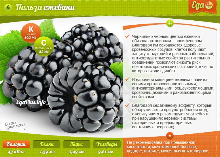 Useful properties of blackberry