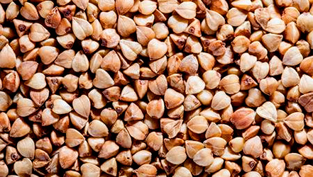 Buckwheat grains close up