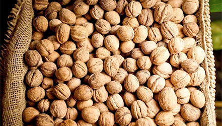 Bag of walnuts