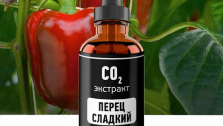 Sweet pepper extract