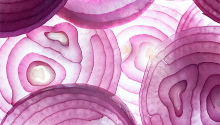 Large onion slices