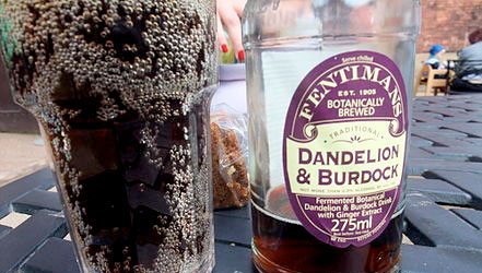 Dandelion and Burdock Beer