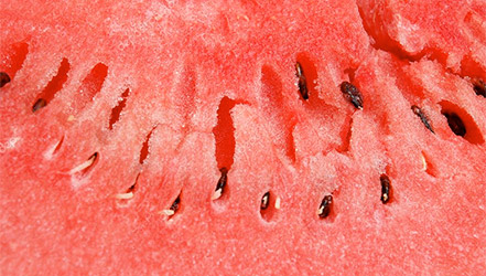Watermelon pulp close up