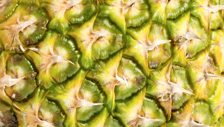 Pineapple peel close up