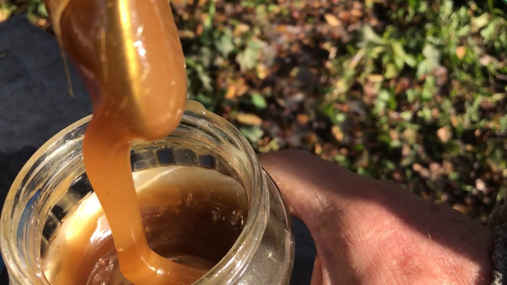 Esparcet honey: medicinal properties and uses
