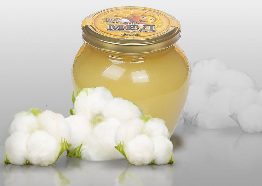 Cotton honey - is there and what are the beneficial properties