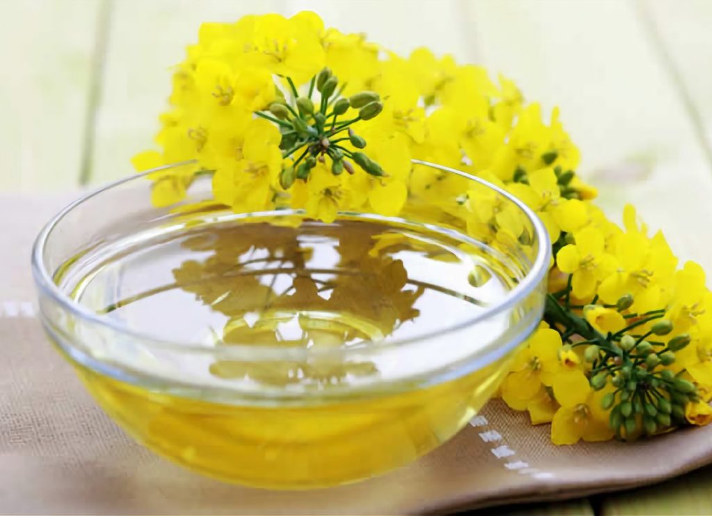 Rapeseed honey: benefits and harms, disadvantages and advantages