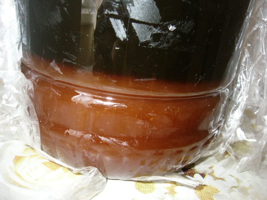 Honeydew honey - what it looks like and how it differs
