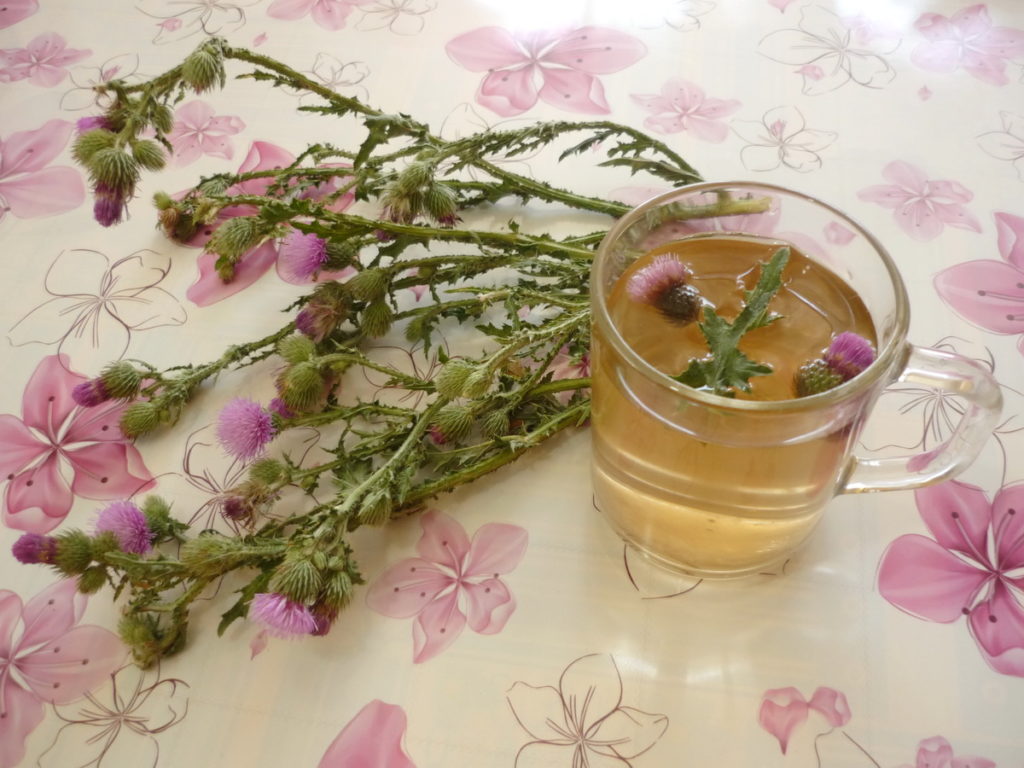 Thistle honey - medicinal properties, honey plant, how to take