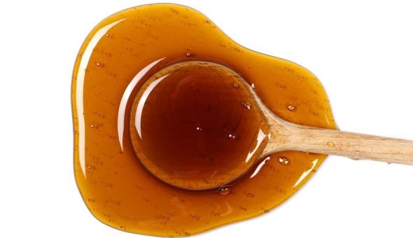 Angelica honey: useful properties and methods of application