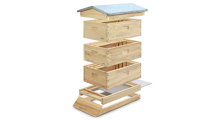 Langstroth-Ruth hive: features, assembly, drawings and dimensions