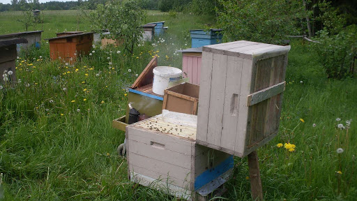 Do-it-yourself Great Russian beehive