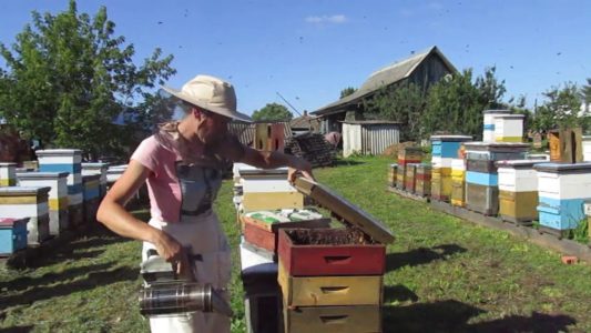 All about the Alpine hive and how to do it yourself
