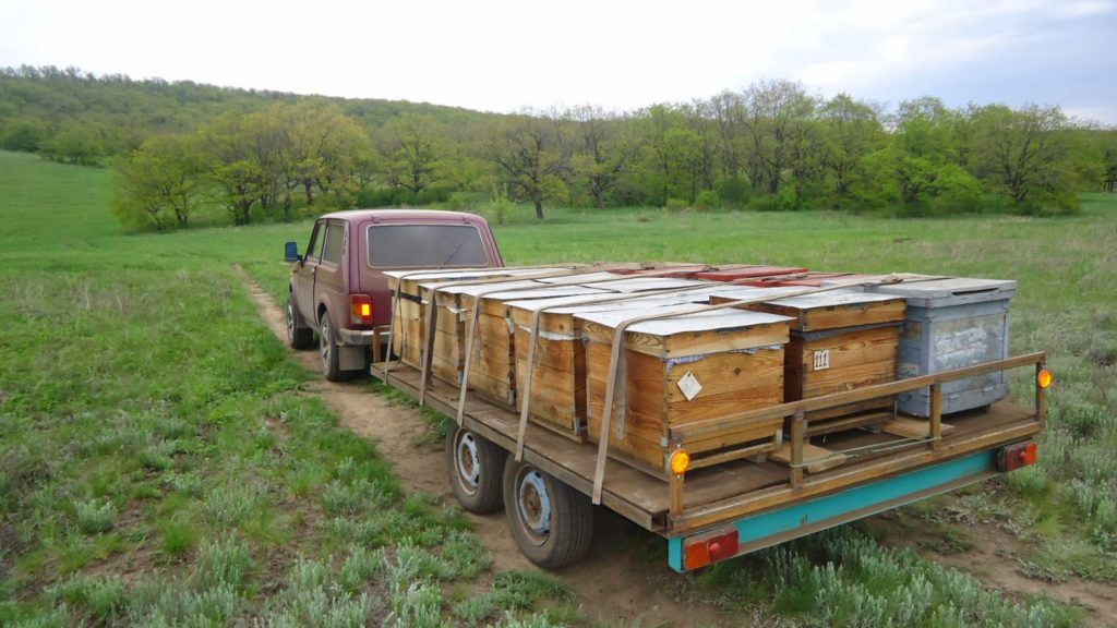 Transport of bees