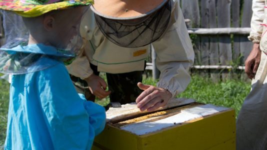 What to do in the apiary in April