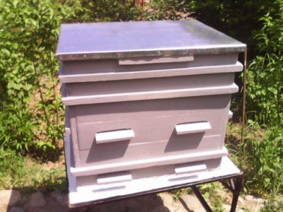 Two-queen bee keeping: methods and features