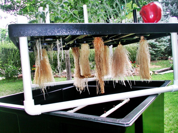 What is aeroponics and how is it applied