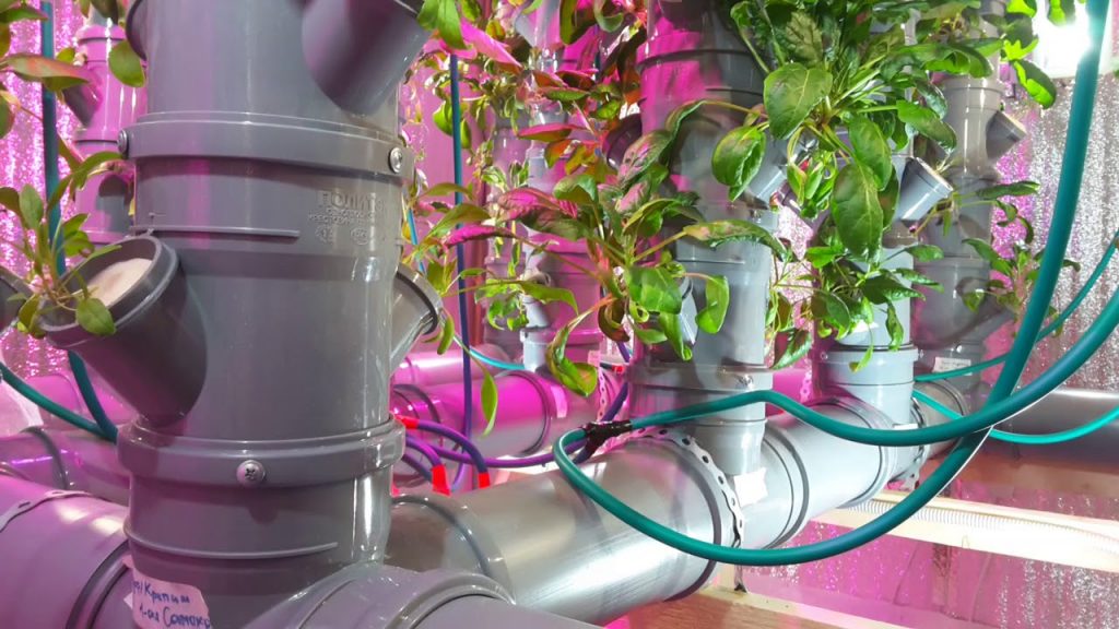 What is aeroponics and how is it applied