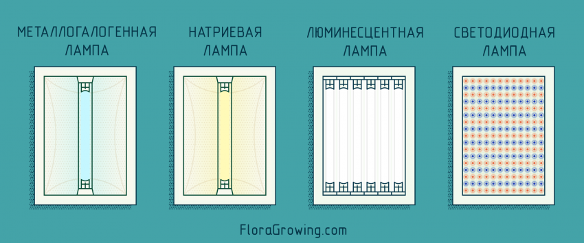 types of lamps for hydroponics