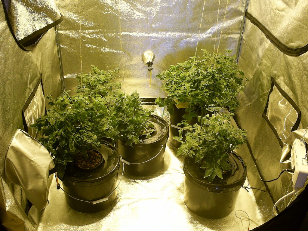 What is a grow tent and why is it needed