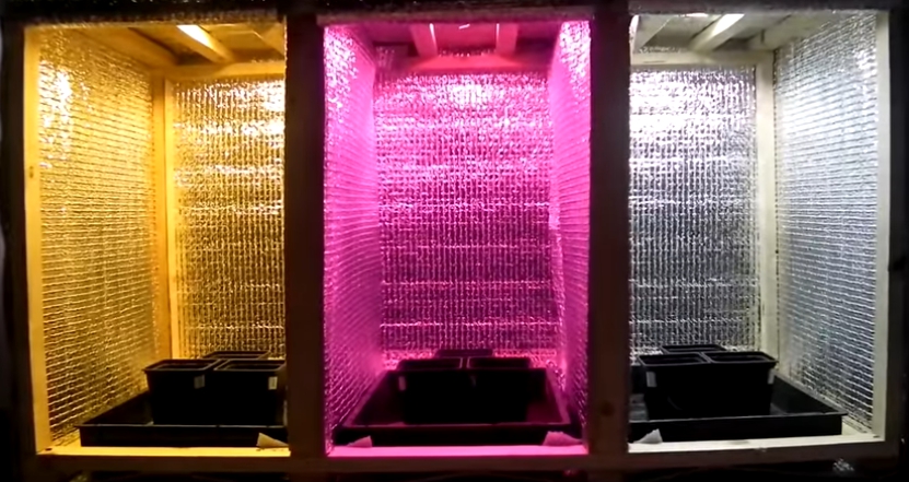 What lamps are suitable for lighting a growbox
