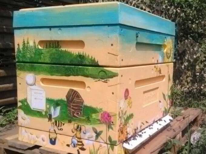 drawing on a beehive