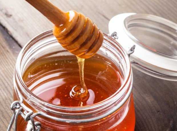 Angelica honey: useful properties and methods of application