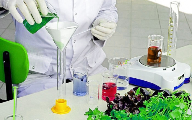 Composition and preparation of nutrient solution - Hydroponics