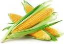 Corn oil, Calories, benefits and harms, Useful properties