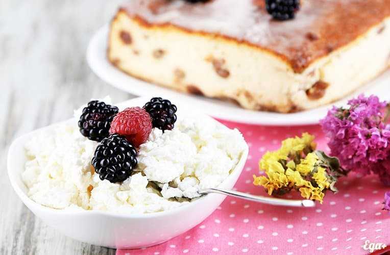 Cottage cheese, Calories, benefits and harms, Useful properties