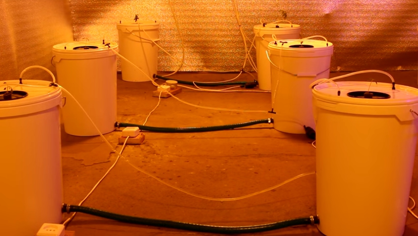 Do-it-yourself aeroponics installation - what equipment is needed