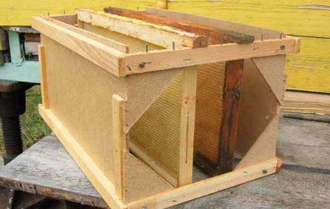 Hive cassette for pavilion keeping bees