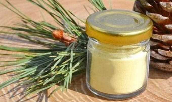 How pine pollen with honey is used in folk medicine