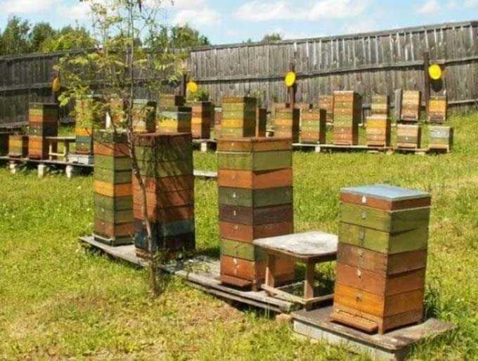 MFP hives (small format)