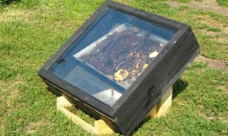 Solar wax melter: how to do it yourself