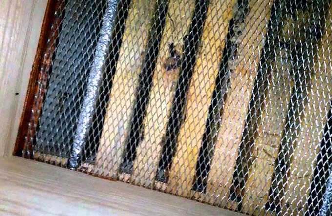 The importance of ventilating the hives