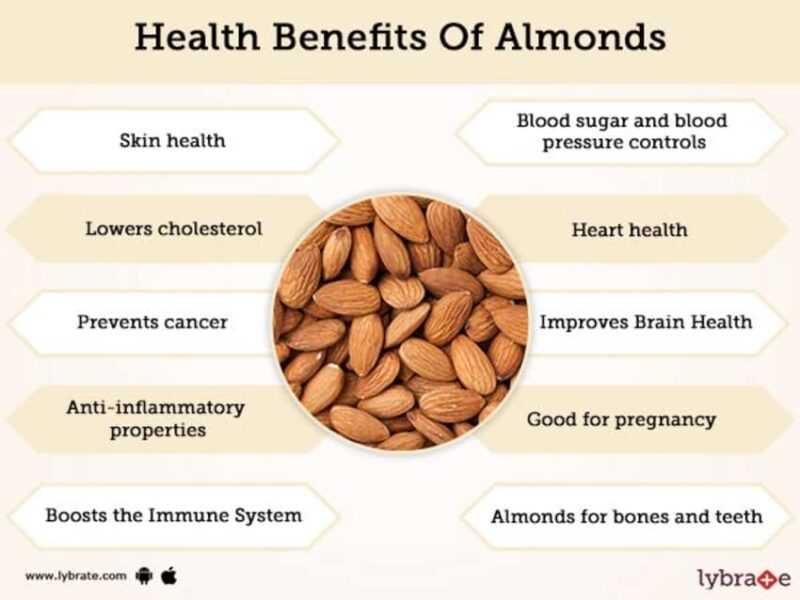 Almonds, Calories, benefits and harms, Useful properties
