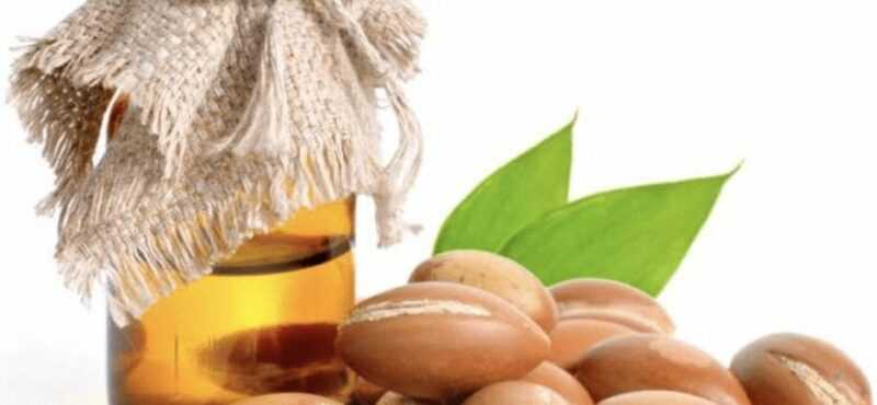 Argan oil, Calories, benefits and harms, Useful properties