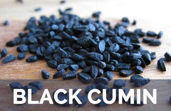 Black cumin, Calories, benefits and harms, Useful properties