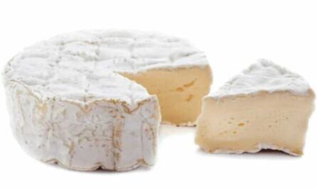 Camembert and brie, Calories, benefits and harms, Useful properties